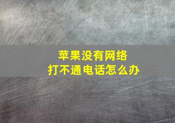 苹果没有网络 打不通电话怎么办